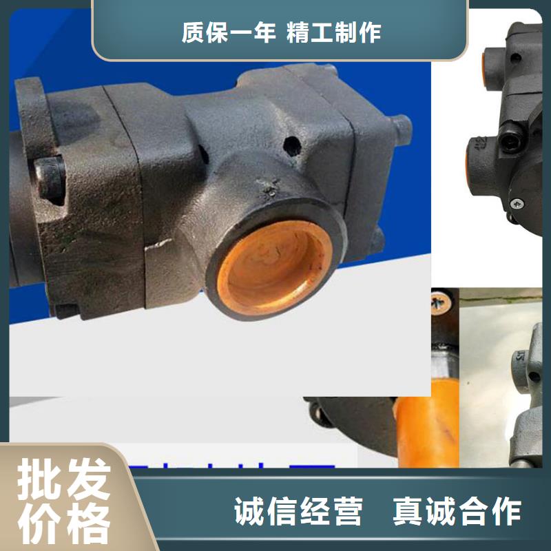 叶片泵大量现货随时发货