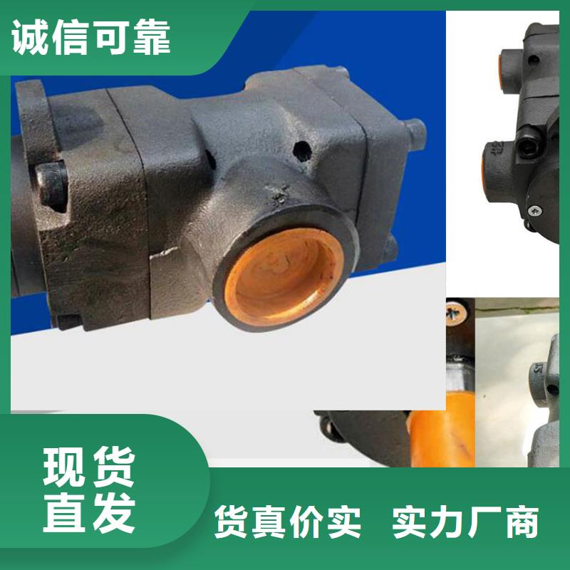 叶片泵优选供货商