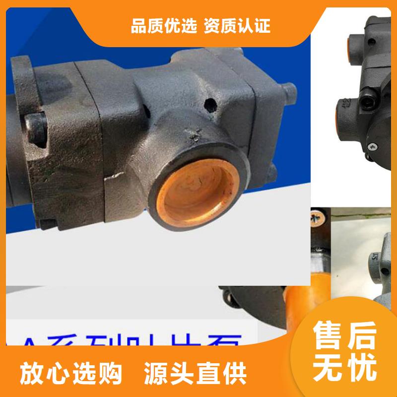 叶片泵实体厂家-放心选购