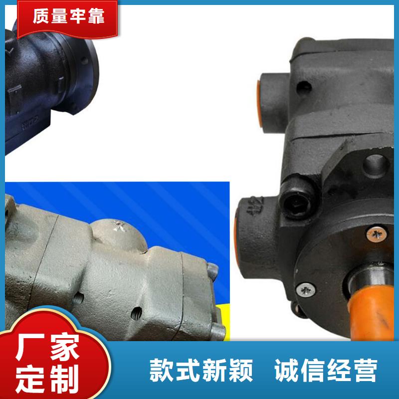 叶片泵大型生产厂家