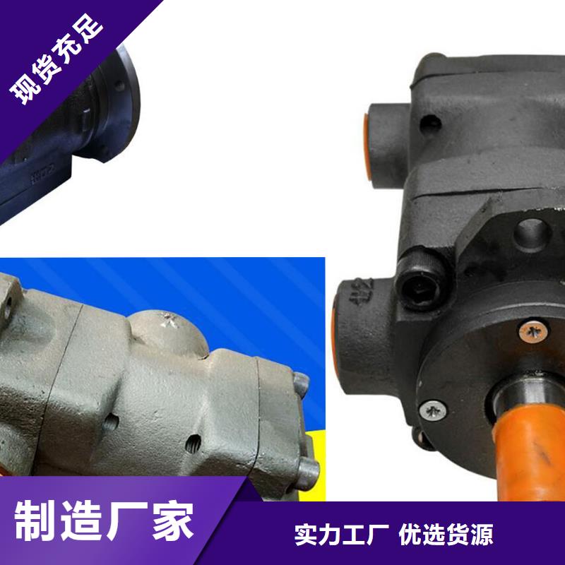 叶片泵十余年厂家