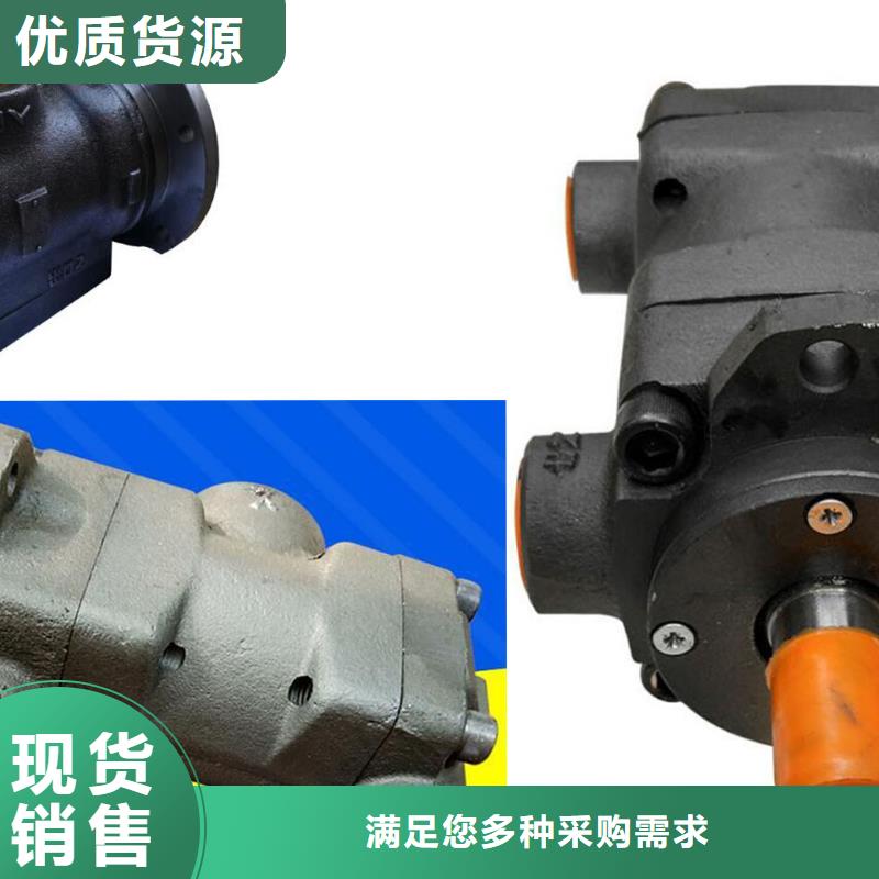叶片泵老牌企业