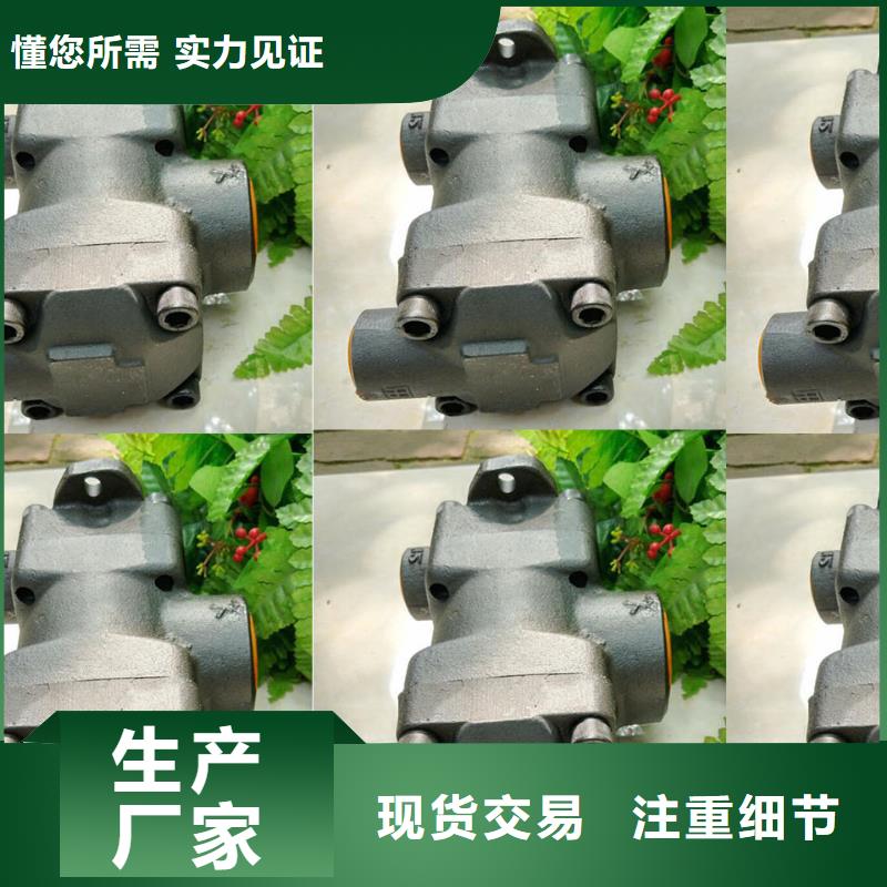采购叶片泵必看-欢迎选购