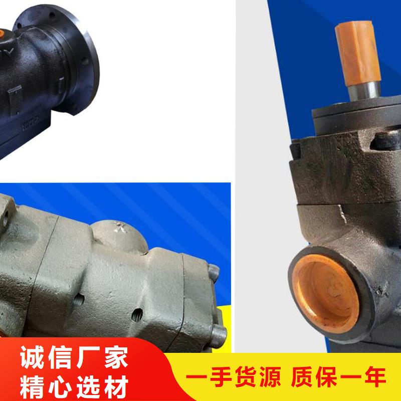 叶片泵多规格可选择