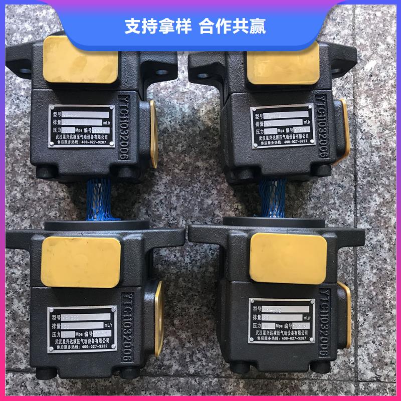专业销售叶片泵-价格优惠