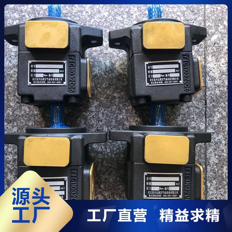 定做叶片泵的批发商