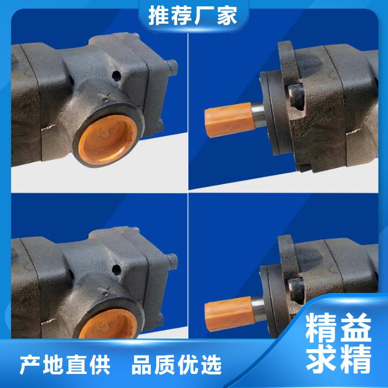专业销售叶片泵-好评
