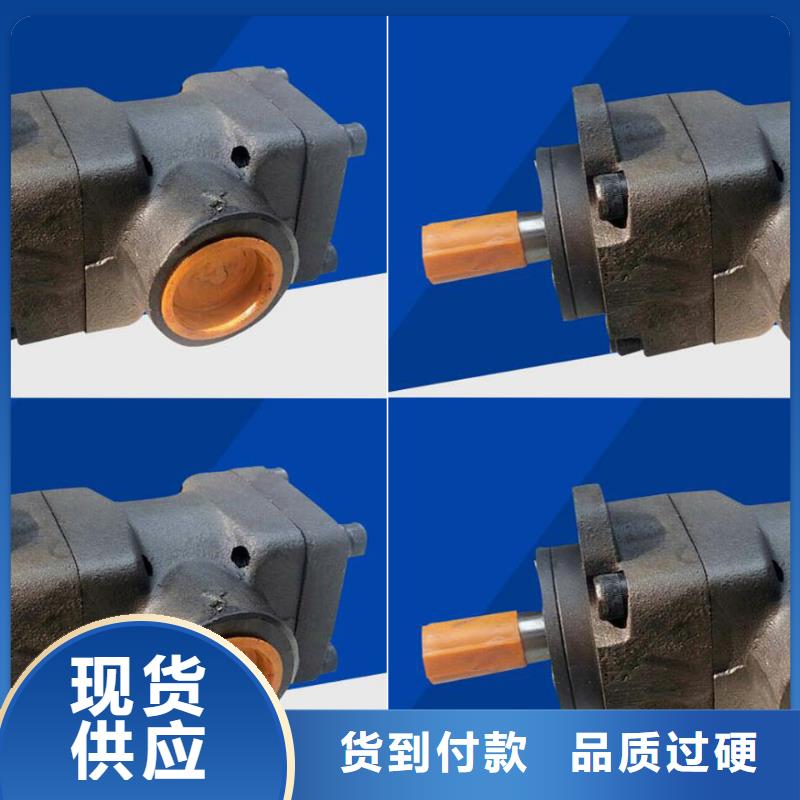 叶片泵经久好用