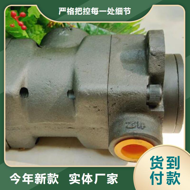 快速:叶片泵厂家