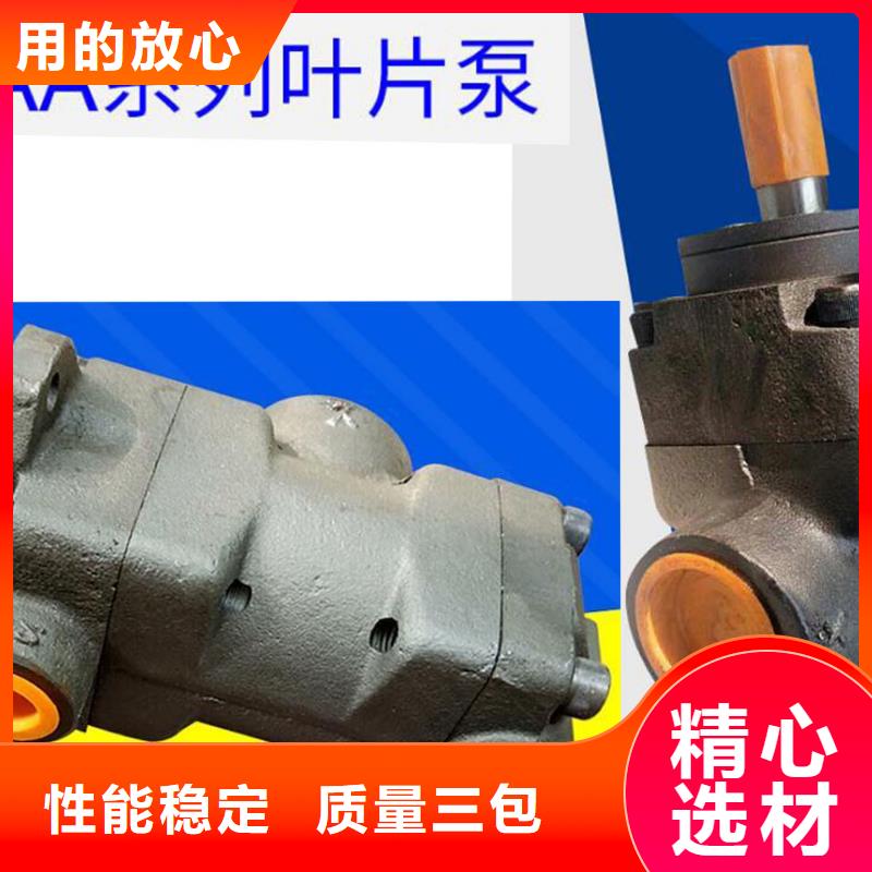 叶片泵厂家-规格全