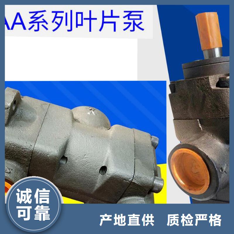 叶片泵直销厂家