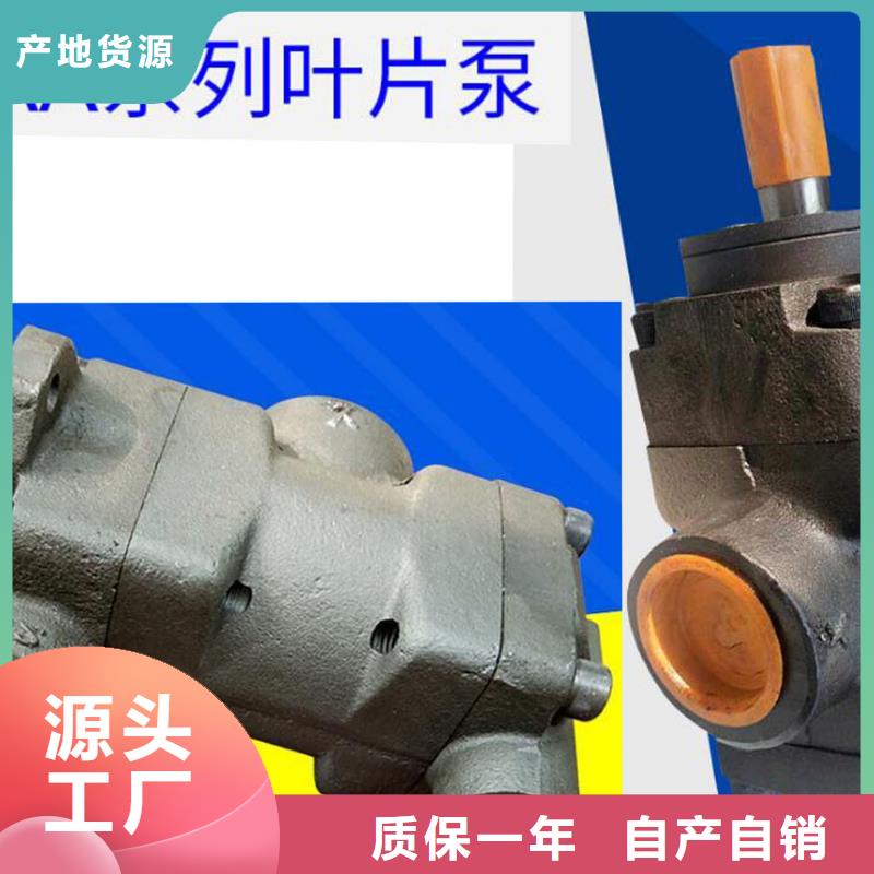 卖叶片泵的经销商