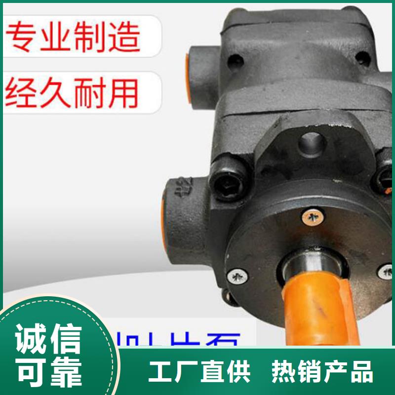 ：叶片泵厂家批发