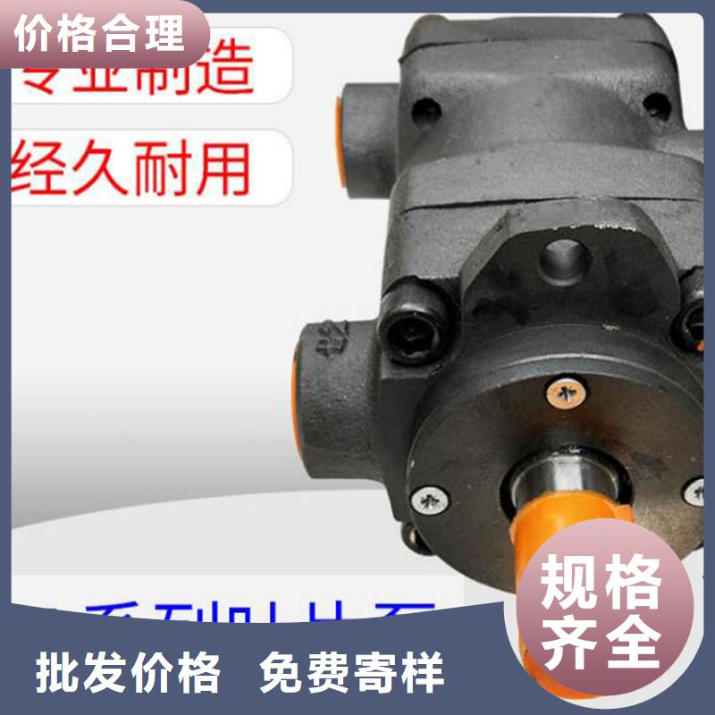 叶片泵大型生产厂家