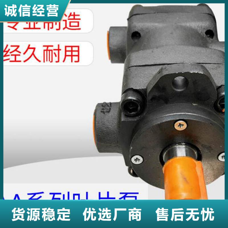 叶片泵厂家-专心做产品