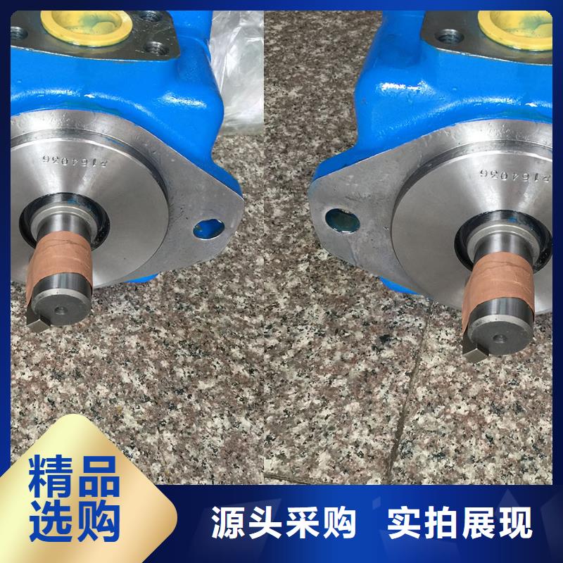 叶片泵经久好用