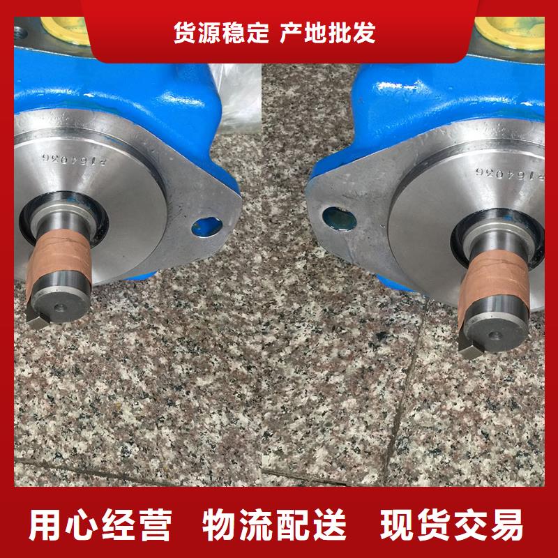 叶片泵、叶片泵生产厂家-发货及时