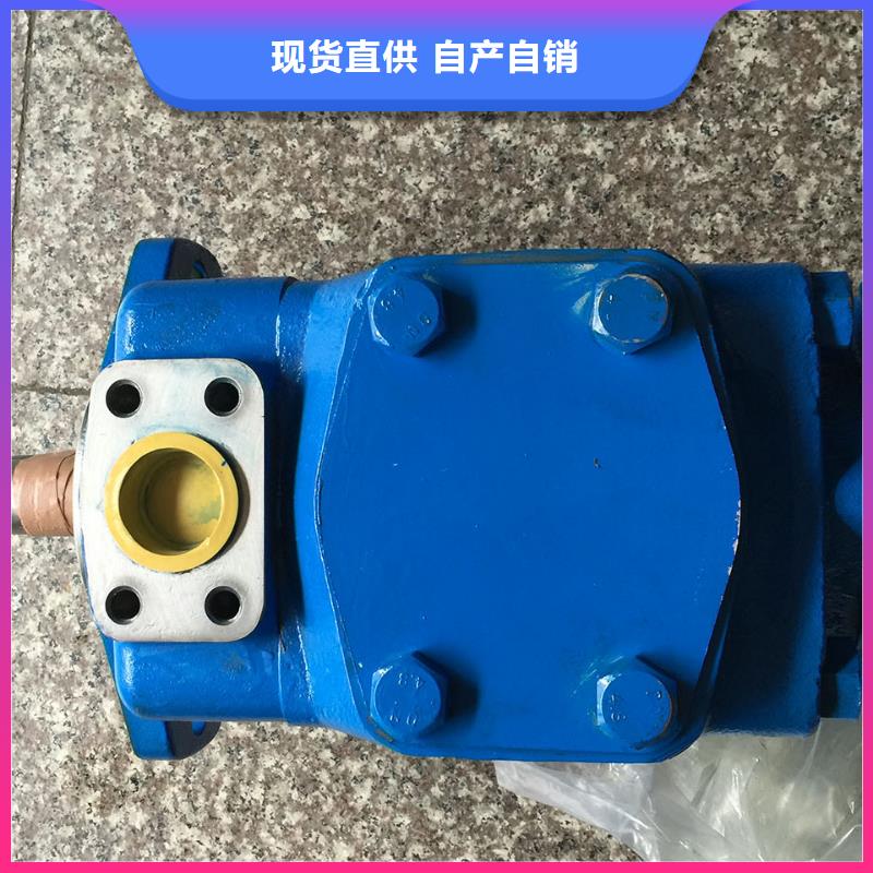 供应叶片泵_实力厂家