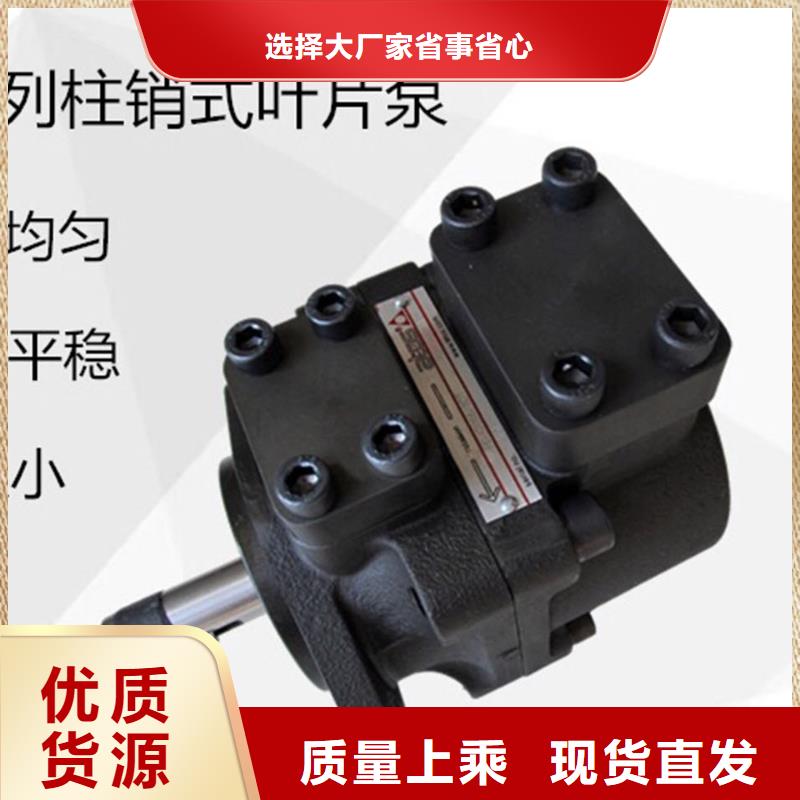 选叶片泵-实体厂家可定制