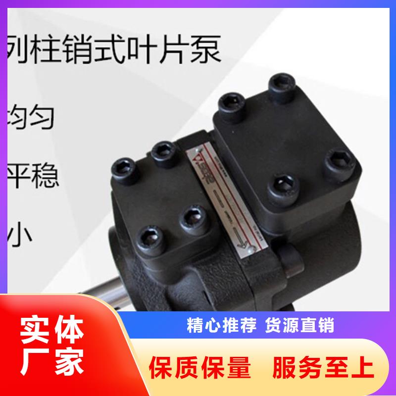 叶片泵老牌企业