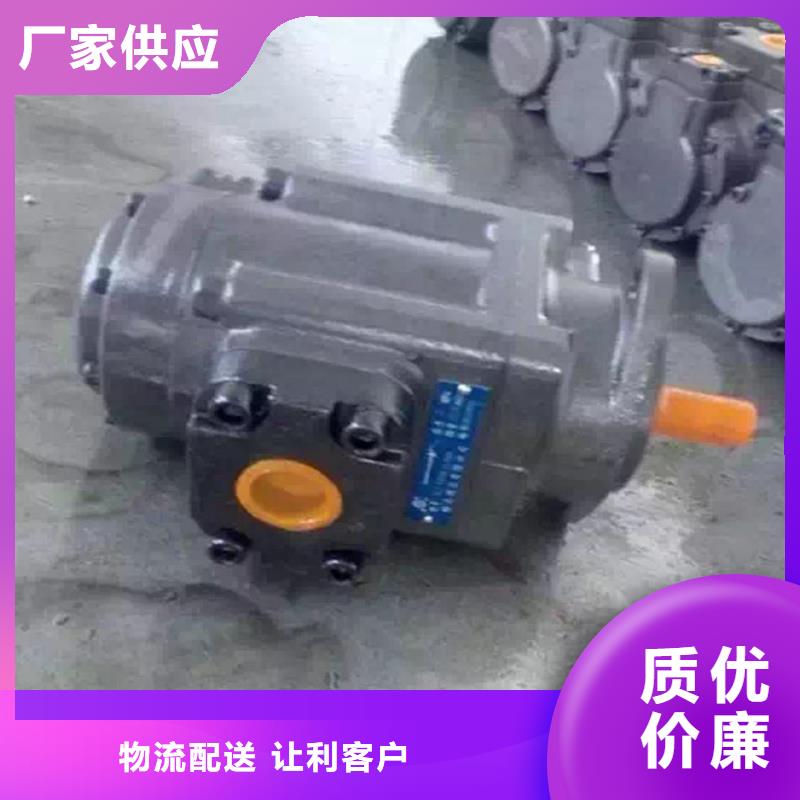 采购叶片泵必看-欢迎选购