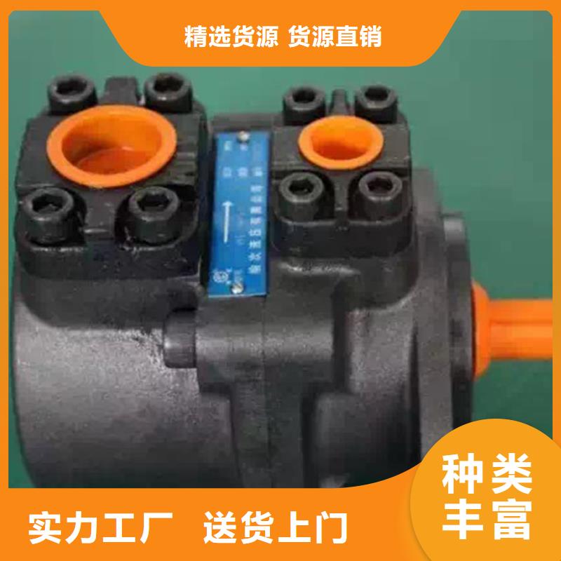 叶片泵优选供货商