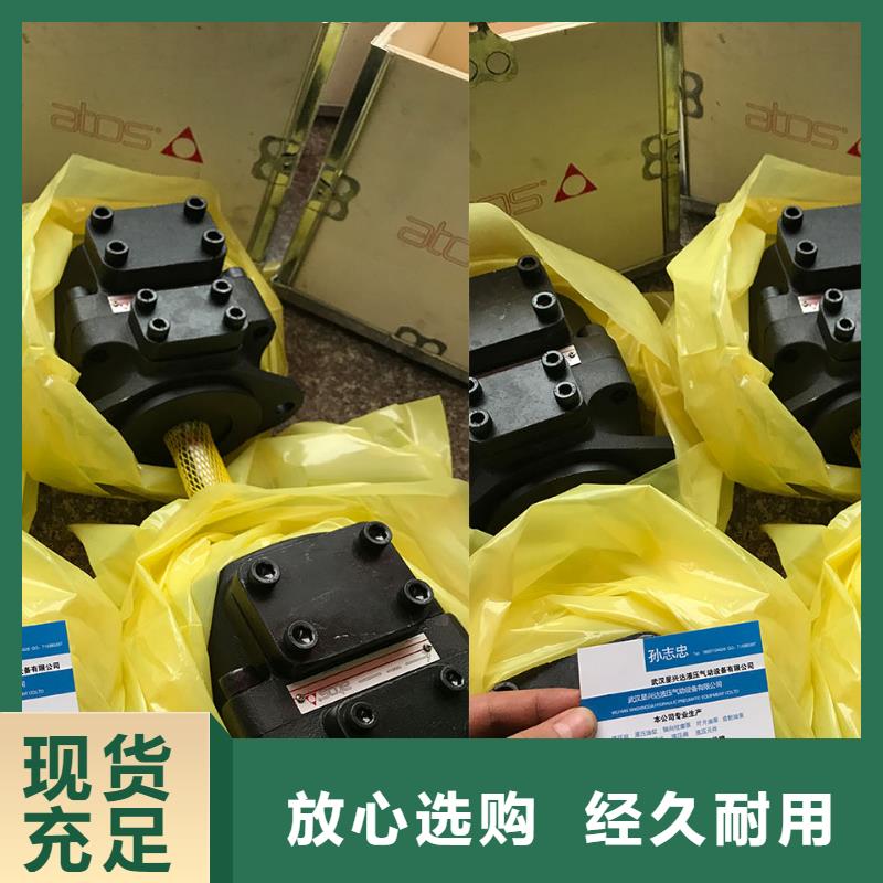 叶片泵现货定做