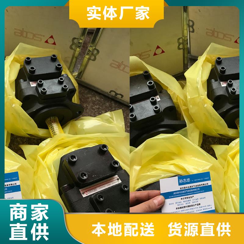 采购叶片泵必看-欢迎选购
