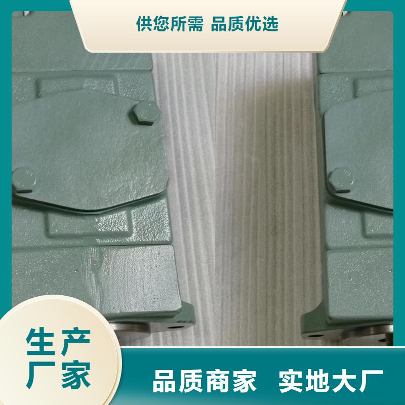 叶片泵老牌企业