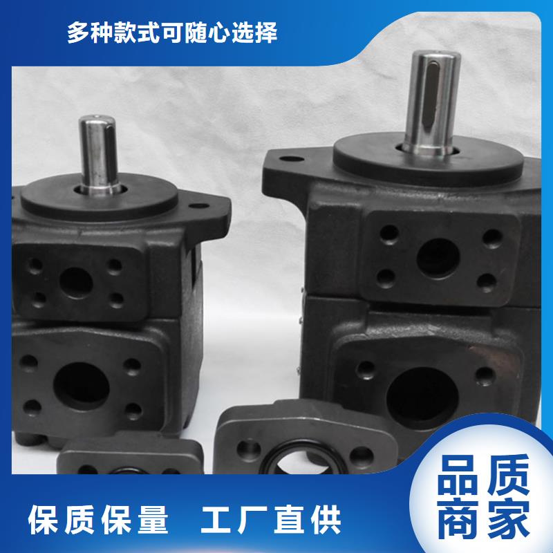 供应叶片泵_实力厂家