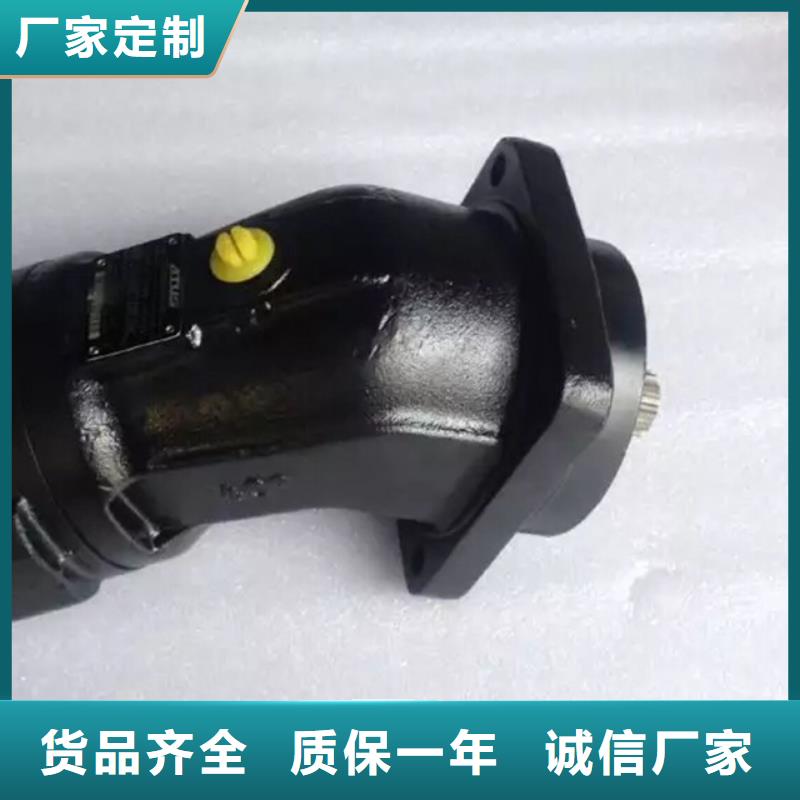 嘉黎质量可靠的柱塞泵生产厂家