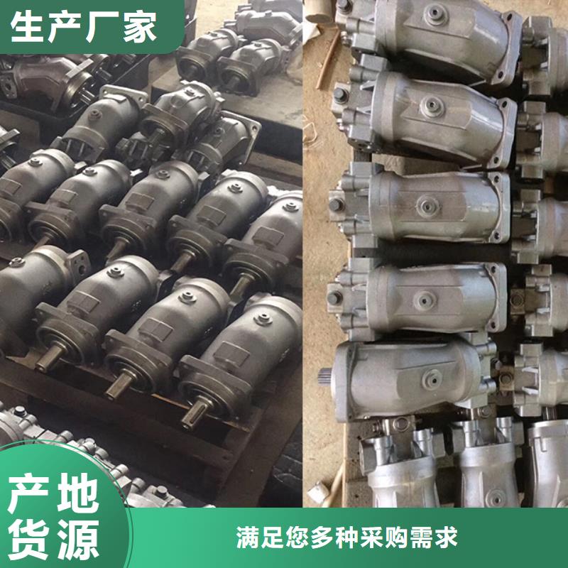柱塞泵支持非标定制