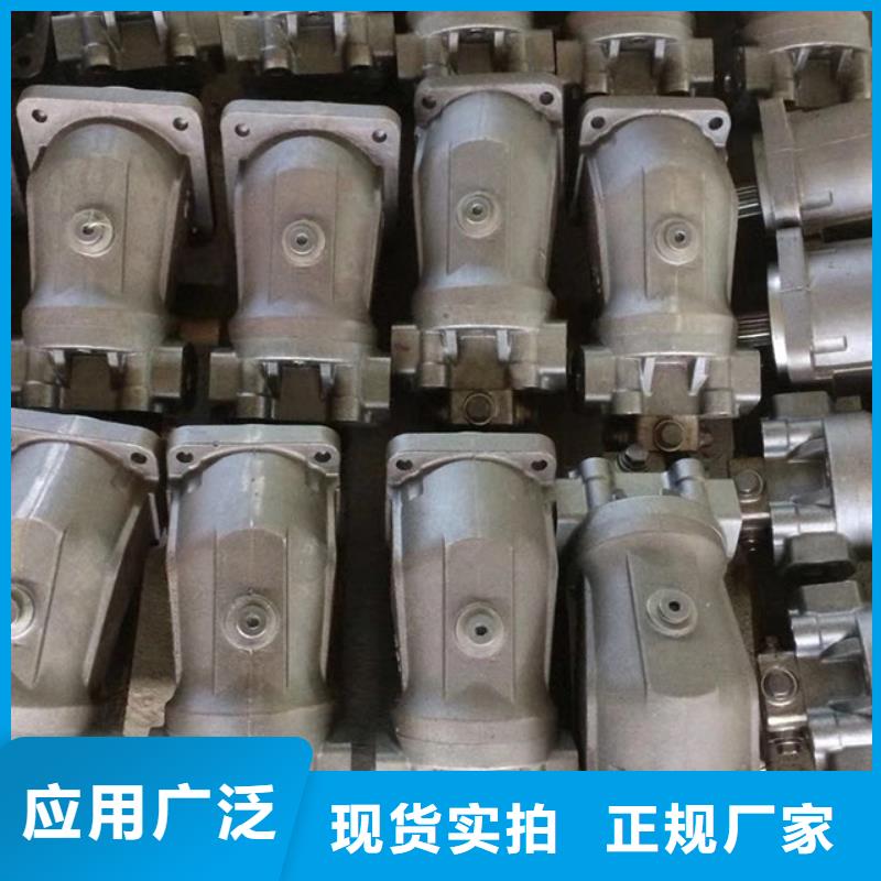 诚信的嘉黎PV0柱塞泵生产厂家