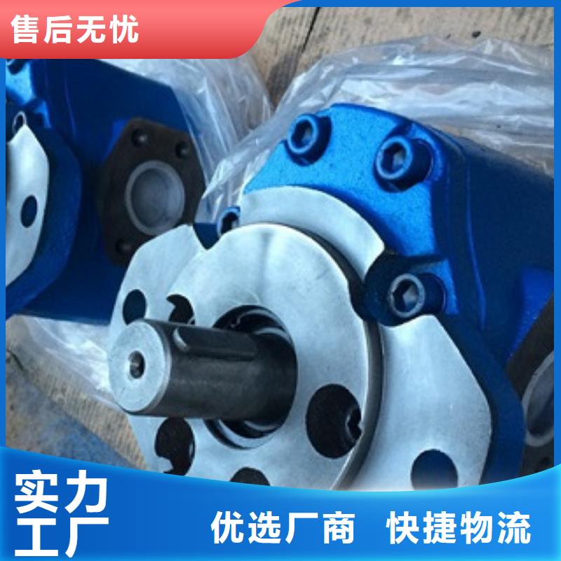 齿轮泵-齿轮泵直销