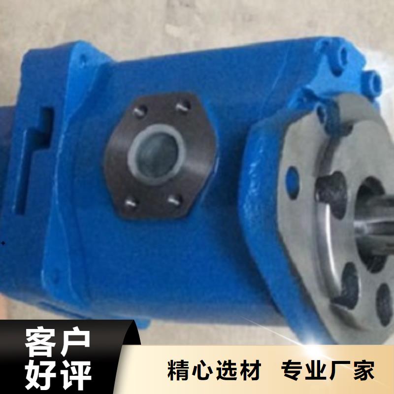 齿轮泵厂家总部