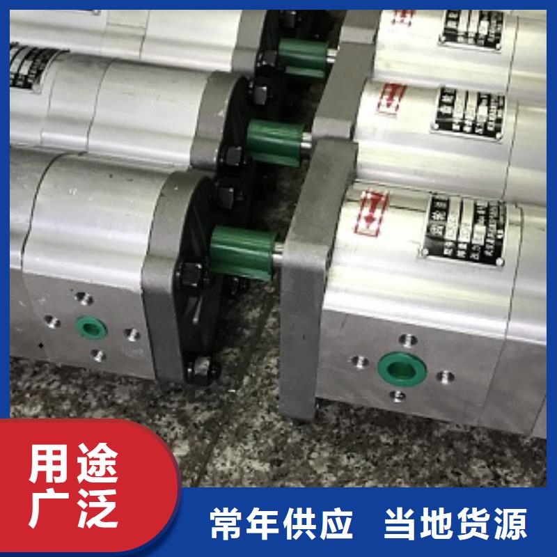 齿轮泵-齿轮泵专业品质