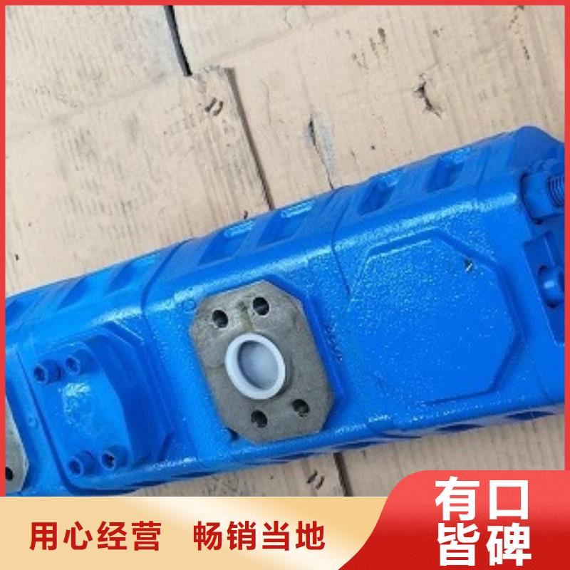 齿轮泵精选商家