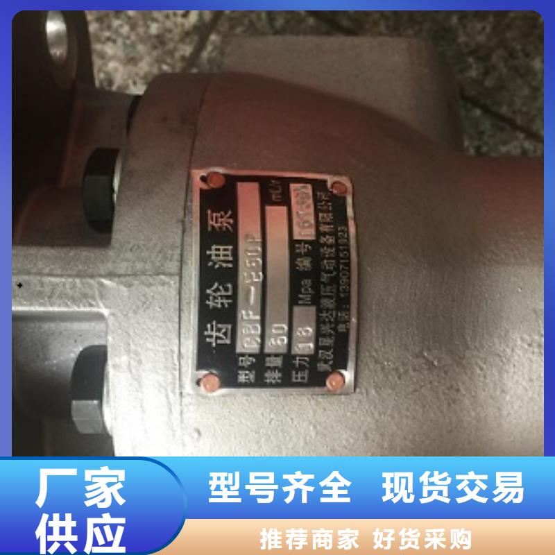 齿轮泵期待您的来电