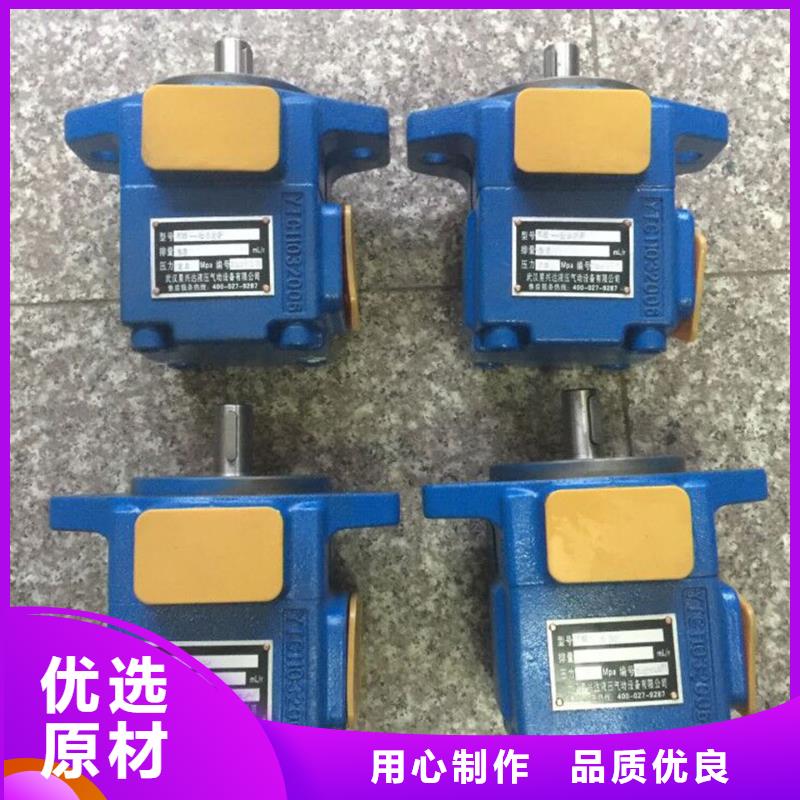 叶片泵队伍