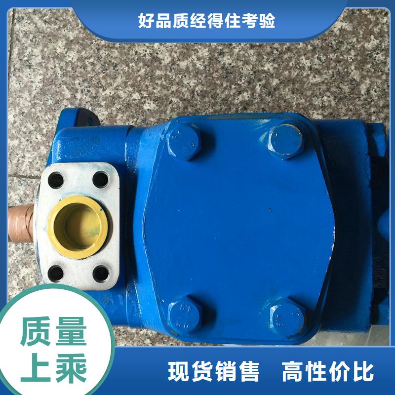 PVV21-1X/055-036RA15UUMB维修