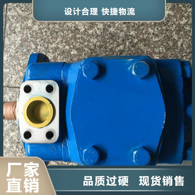 叶片泵的规格尺寸