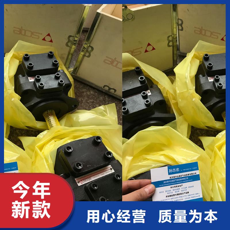 定做叶片泵的销售厂家