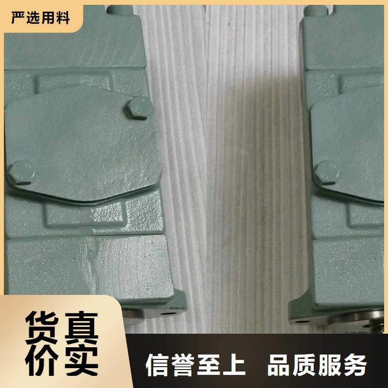 叶片泵_让您放心的选择