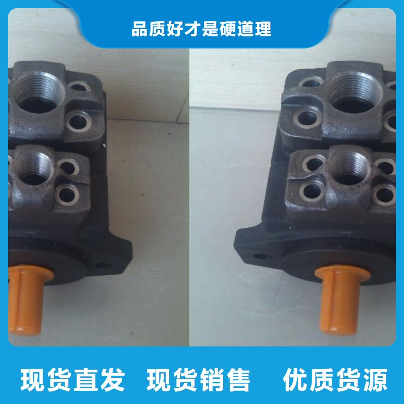 叶片泵、叶片泵现货直销