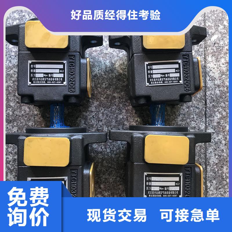 正宗叶片泵生产厂家-欢迎来电
