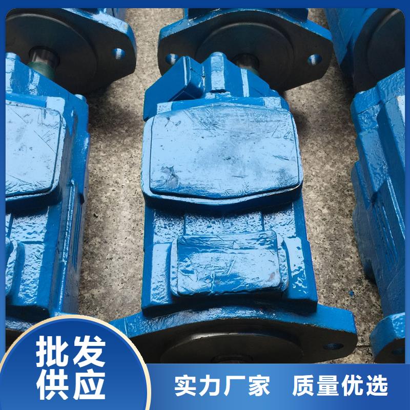 #叶片泵#-性价比高