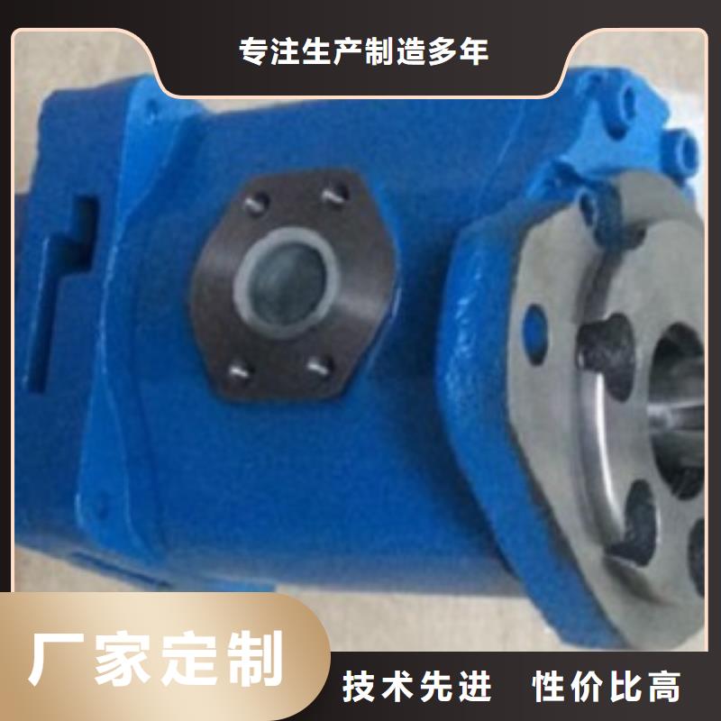 重信誉齿轮泵厂家直销