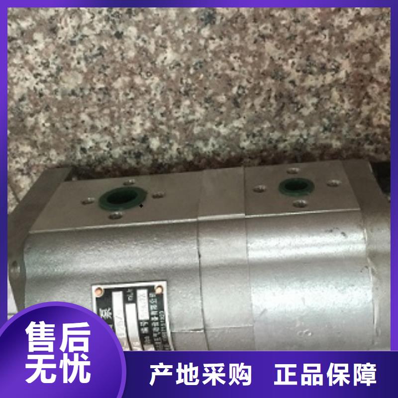 采购齿轮泵必看-高性价比