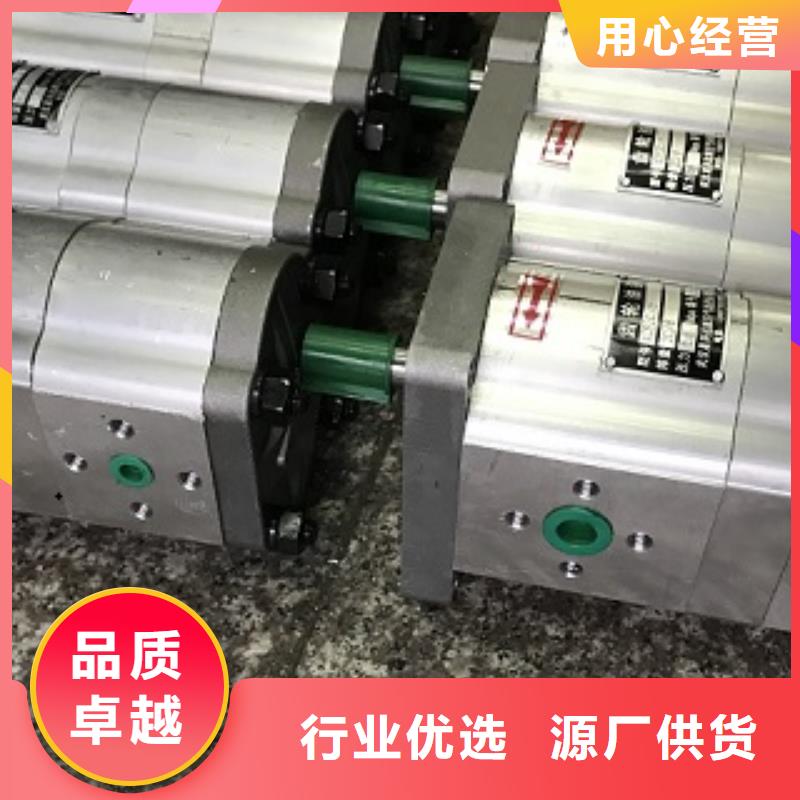 齿轮泵现货定做