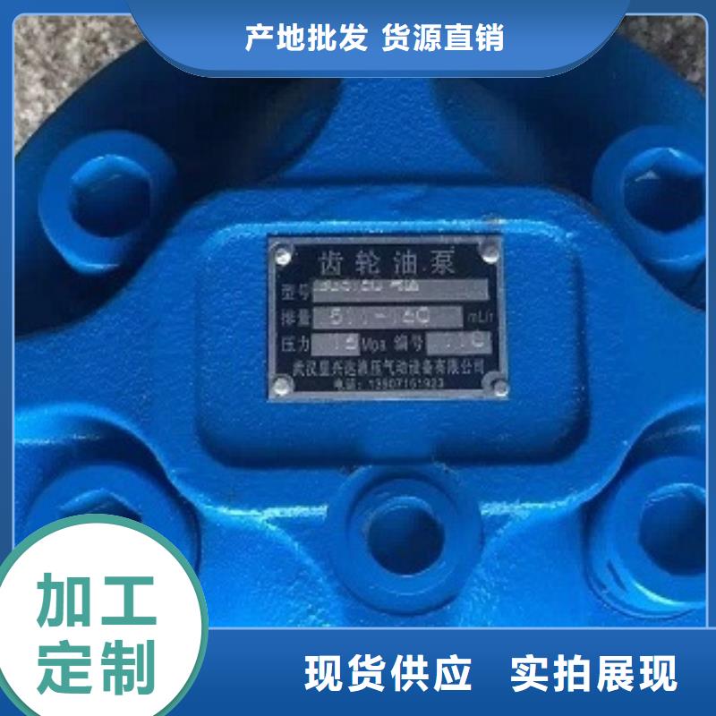 卖齿轮泵的厂家